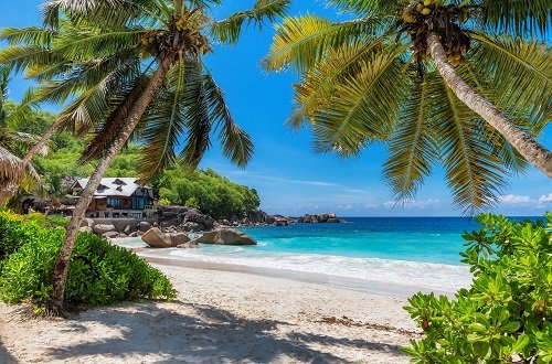 Tropical Sunny beach with palm trees and turquoise sea.