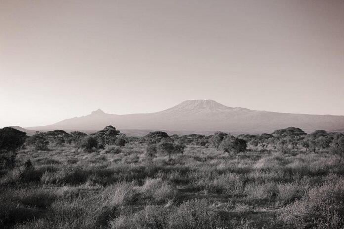 Top 6-Day Kilimanjaro Climb via Marangu Route 2026, 2027 & 2028 Top 6-Day Kilimanjaro Climb via Marangu Route 2026, 2027 & 2028