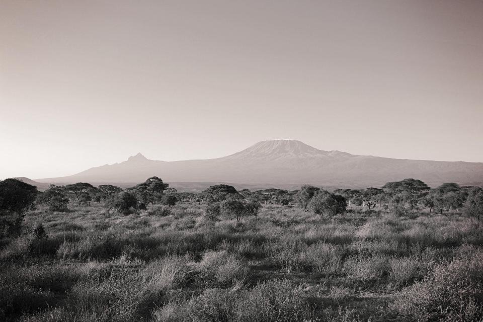 Top 6-Day Kilimanjaro Climb via Marangu Route 2026, 2027 & 2028 Top 6-Day Kilimanjaro Climb via Marangu Route 2026, 2027 & 2028