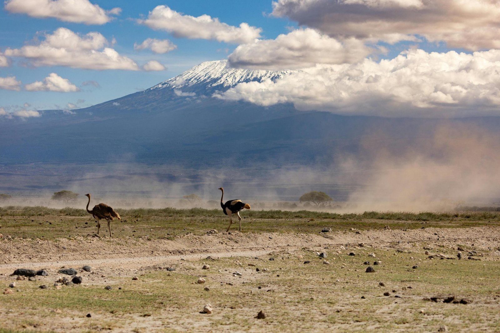 Best 6 days Kilimanjaro climbing via Rongai route 2026, 2027 & 2028