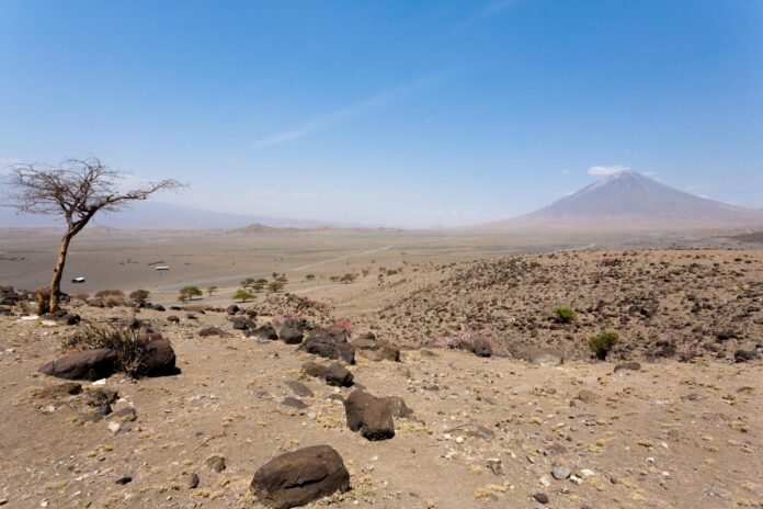 Best 8 days Kilimanjaro climbing via Lemosho Route 2026, 2027 & 2028 Best 8 days Kilimanjaro climbing via Lemosho Route 2026, 2027 & 2028