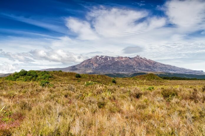 Best 7 days Kilimanjaro climbing via Umbwe route 2026, 2027 & 2028 Best 7 days Kilimanjaro climbing via Umbwe route 2026, 2027 & 2028
