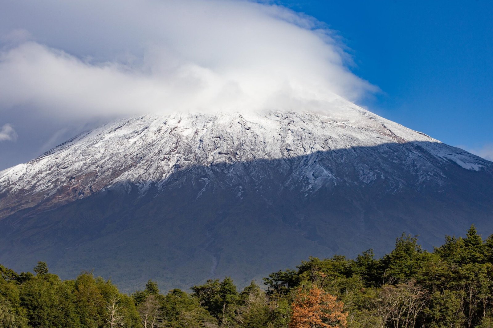 Best 7 days Kilimanjaro climbing via Machame Route 2026, 2027 & 2028