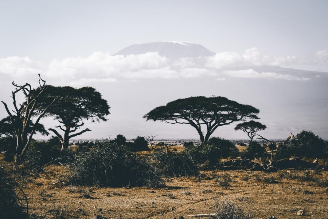 Best 7 days Kilimanjaro climbing via Machame Route 2026, 2027 & 2028 Best 7 days Kilimanjaro climbing via Machame Route 2026, 2027 & 2028