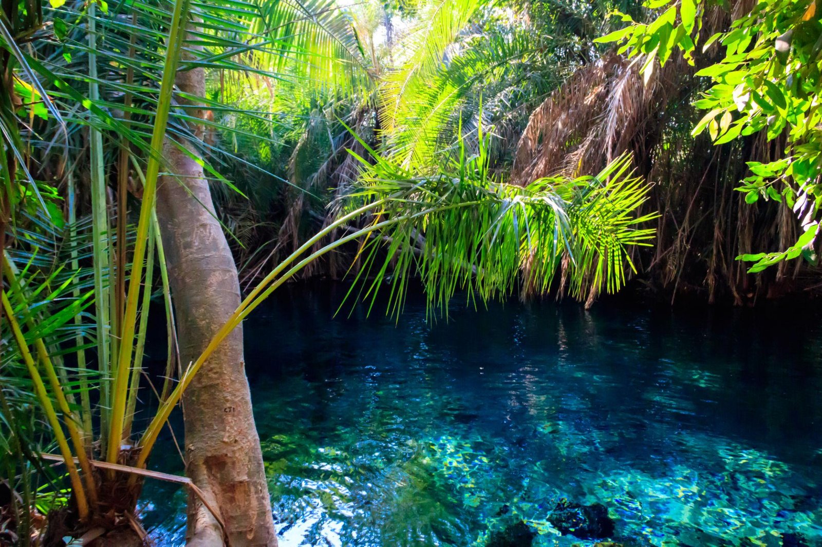 Best day trip to Chemka Hot Spring from Arusha or Moshi 2026, 2027 & 2028