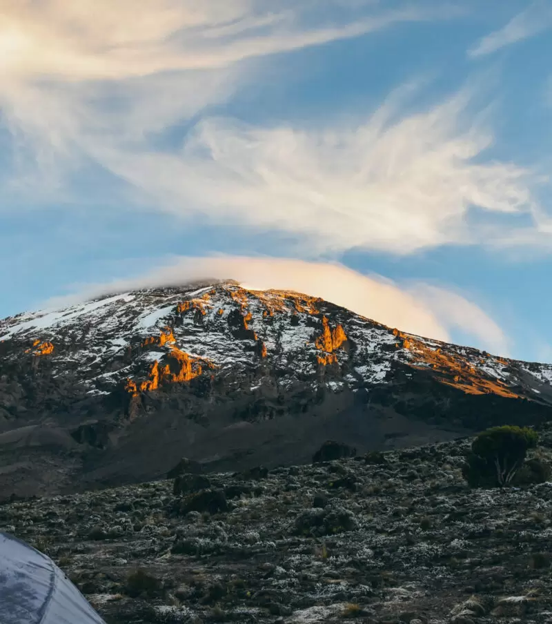 Kilimanjaro-Climbing-Adventures-800x904 (1)