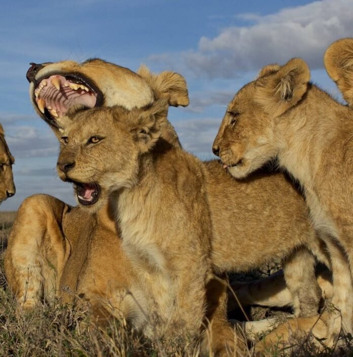 250663_6593307d3181b