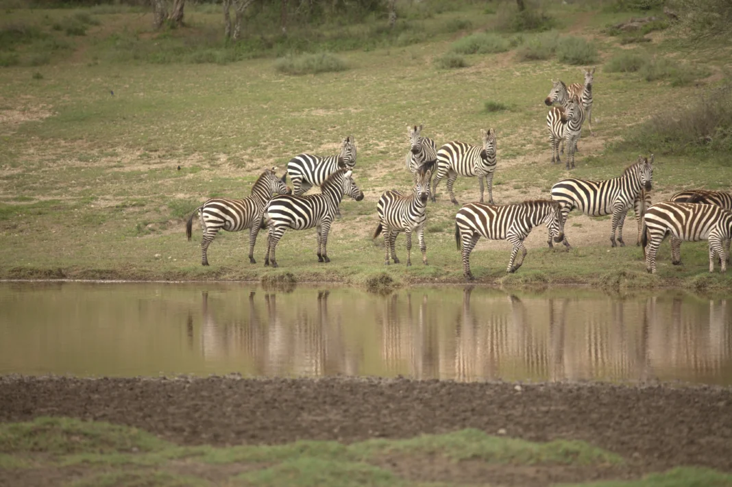 a964402b-3a99-46dc-929a-e4a70722be5e